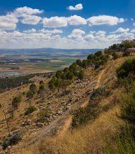 Israel from the street / ***