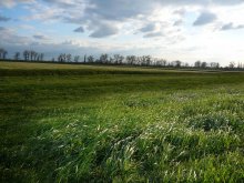 Teppichboden mit Wind / ***