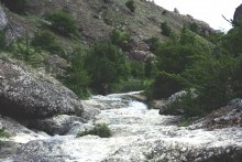 Little Falls / ***