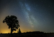 At night / ***