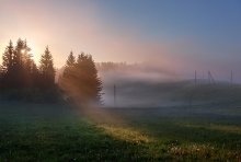 Golden ray of sunlight ... / ***