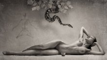 Eva / ***