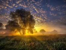 Dawn ... radiant ... / ***