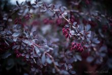 story / ***