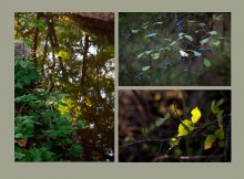 A whiff of autumn / ***