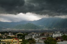 Here's a she, sunny Italy :) / Italia, provincia di Napoli - Boscotrecase