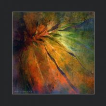 sheet 2. seychelles / music: Rebelution-So High (Acoustic)
http://www.youtube.com/watch?v=stHcwHm8Ef8