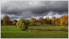 The state of nature ..... / ***