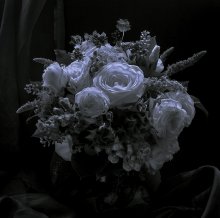 In seinen besten Jahren. / ***