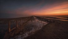 Road to Dawn / ***