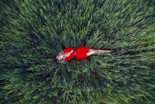 to be found / http://vk.com/photo9329659_308091844