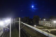Nacht, Mond, Bäume / ***