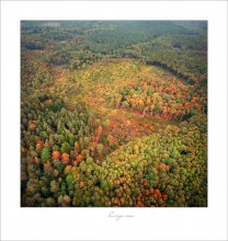 Einer flog über den Herbst / *******