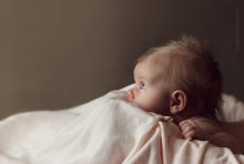 chick in the nest / ***