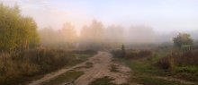 Fleeing fog / ***