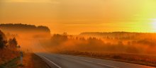 The morning sun lit / ***
