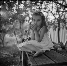 Fields and apples / ***