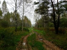 Autumn has come. / ***
