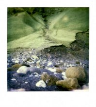 Polaroid / ***