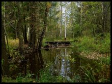 On a small rivulet / ***