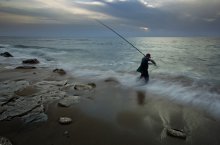 the old man and the sea / 2013
