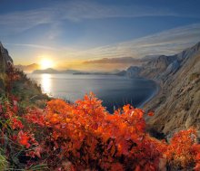 Is Red sumac on the slopes of the ancient mountains / ***