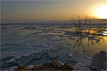 "Snowy" shore of the Dead Sea ... / ***