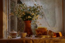 Stillleben mit Gänseblümchen und Honig / ---