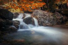 Milk River / ***