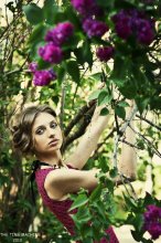 Lilac / ***