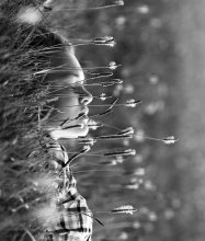 Gedanken wie Pfeile ... / ........