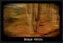 Wind phantoms / .........