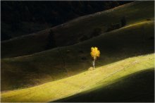 Autumn Rhapsody ... / ***
