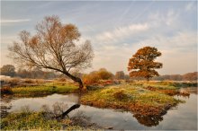 In the autumn of / ***