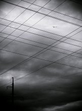 Lines / ***