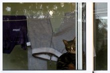 Warm Balkon. / ***