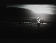 Skyward / .........