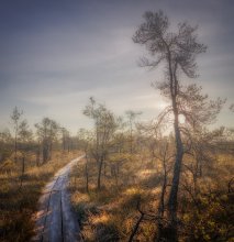 The path to the light / ***