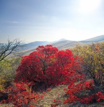 Autumn Tale of Cimmeria / ***