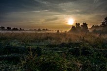 In the fog / ***