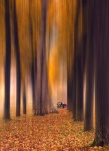 One autumn day / ---