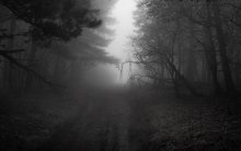 Foggy Krim Holz / ***