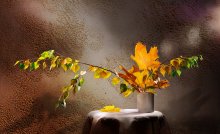 colors of autumn / ***