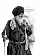 Piligrim / ***