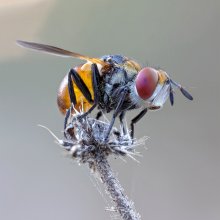 Ready for takeoff / ***
