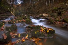 Visiting the autumn / ***