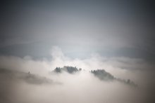 About the mists / ************