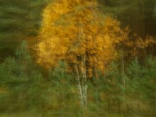 Autumn / 1
[url=http://radikal.ru/fp/1e160b0b070d4cdb9e612fb587c1a47f][img]http://s017.radikal.ru/i406/1310/41/90f959e3a63a.jpg[/img][/url]

2
[url=http://radikal.ru/fp/7db426e613f849f2a9a7f659c452efc3][img]http://s018.radikal.ru/i520/1310/c2/94f221f49b00.jpg[/img][/url]

3
[url=http://radikal.ru/fp/3f5fcb74be554f7a97dfc7947ce10078][img]http://s020.radikal.ru/i709/1310/dc/e18d85d986e7.jpg[/img][/url]

4
[url=http://radikal.ru/fp/999cff97183e48b8880370ad77532a6d][img]http://s57.radikal.ru/i158/1310/e5/4637097709c6.jpg[/img][/url]

5
[url=http://radikal.ru/fp/e81971ed163949a38aaa76f5e0b061d6][img]http://s019.radikal.ru/i600/1310/d1/0b2e89ea63bd.jpg[/img][/url]

6
[url=http://radikal.ru/fp/1af73b978a544ea08ad7bf6ce2bb1051][img]http://s005.radikal.ru/i209/1310/d9/88d930f845ce.jpg[/img][/url]