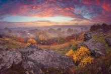 Palette of autumn / ***