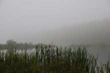 Coole Nebel *** / ***